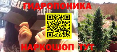 ALPHA PVP Малгобек