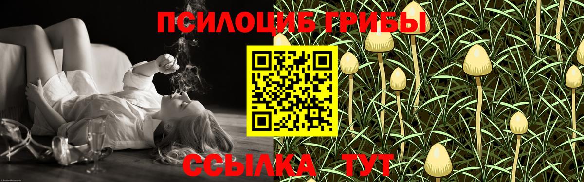 Галлюциногенные грибы прущие грибы Избербаш