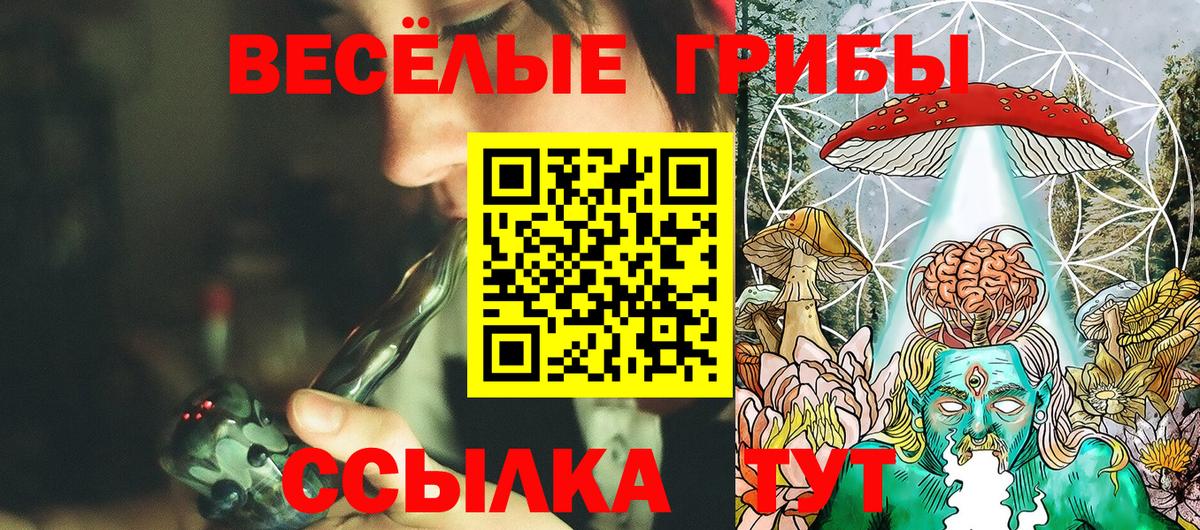 Галлюциногенные грибы Magic Shrooms  Псилоцибиновые грибы прущие грибы  Избербаш  Вход с VPN 
